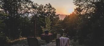 Amanita Wild Camper - Where the forest breathes and reality softens