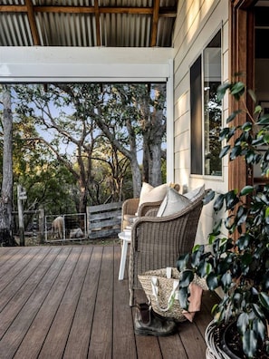 A wooden deck with wicker furniture and a potted plant.