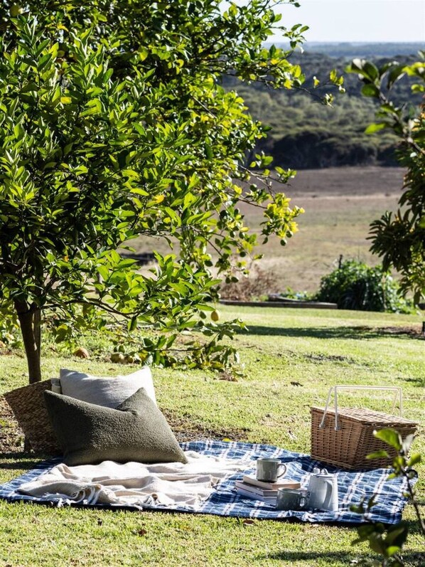A picnic setup with a blanket, pillows, a basket, and a cup on a grassy field with a tree and a view of the countryside.