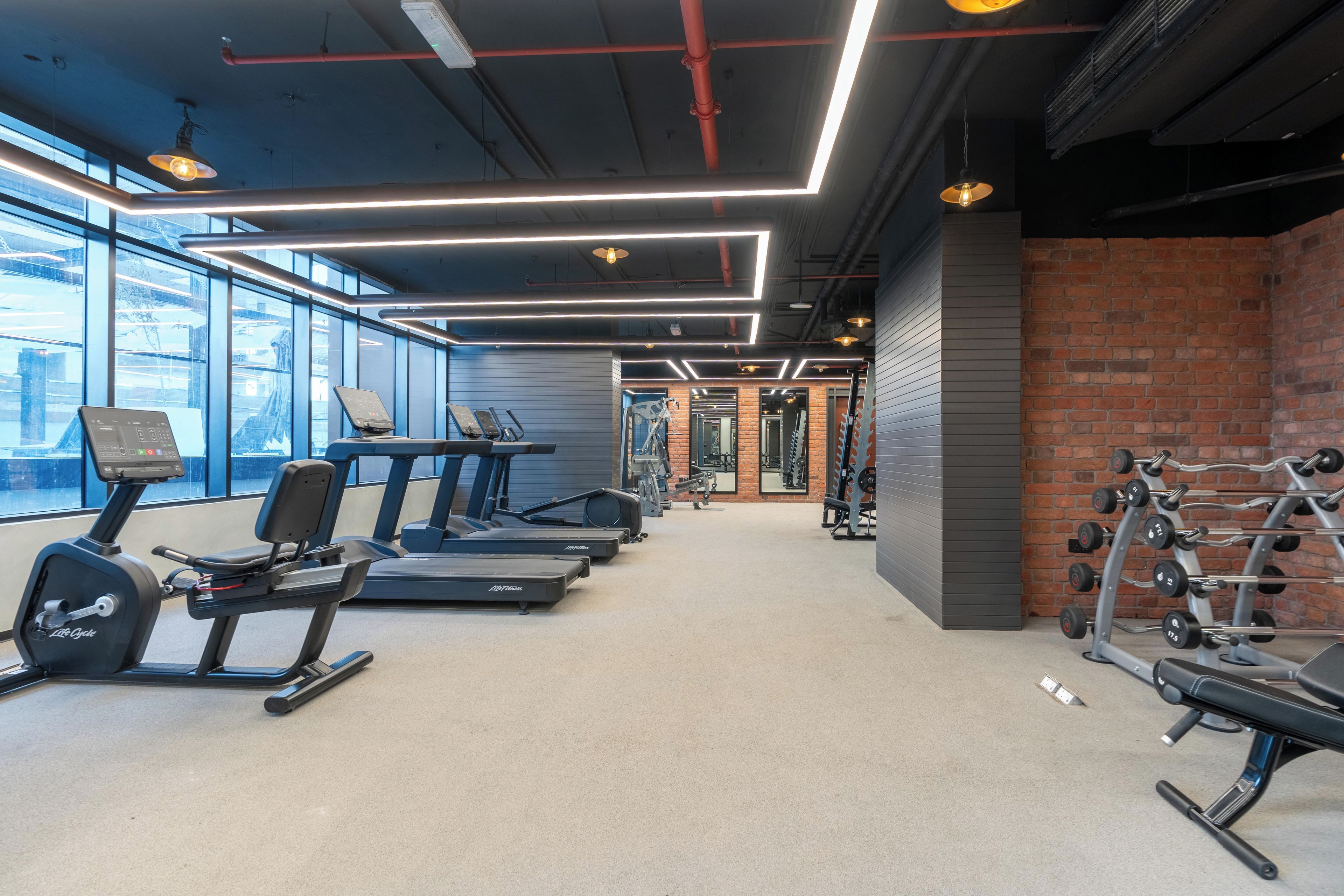 A gym with treadmills, elliptical machines, and weight equipment.