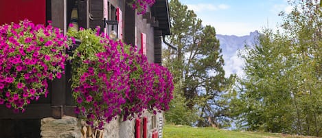 A rustic building with a stone facade, wooden shutters, and vibrant purple flowers cascading over the entrance.