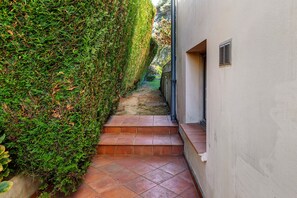 A narrow pathway flanked by a lush green hedge and a white building with a visible window and ventilation grate.