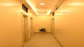Un couloir étroit, avec des portes de chaque côté, une plante en pot au centre et des spots encastrés au plafond.