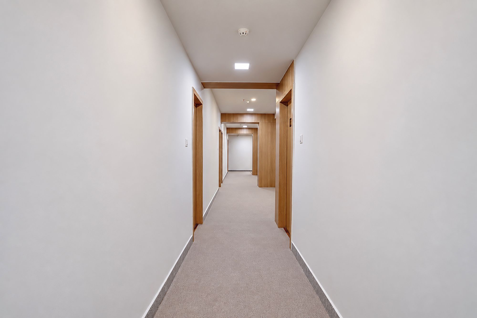 Un pasillo con piso alfombrado, paneles de madera en las paredes e iluminación empotrada.