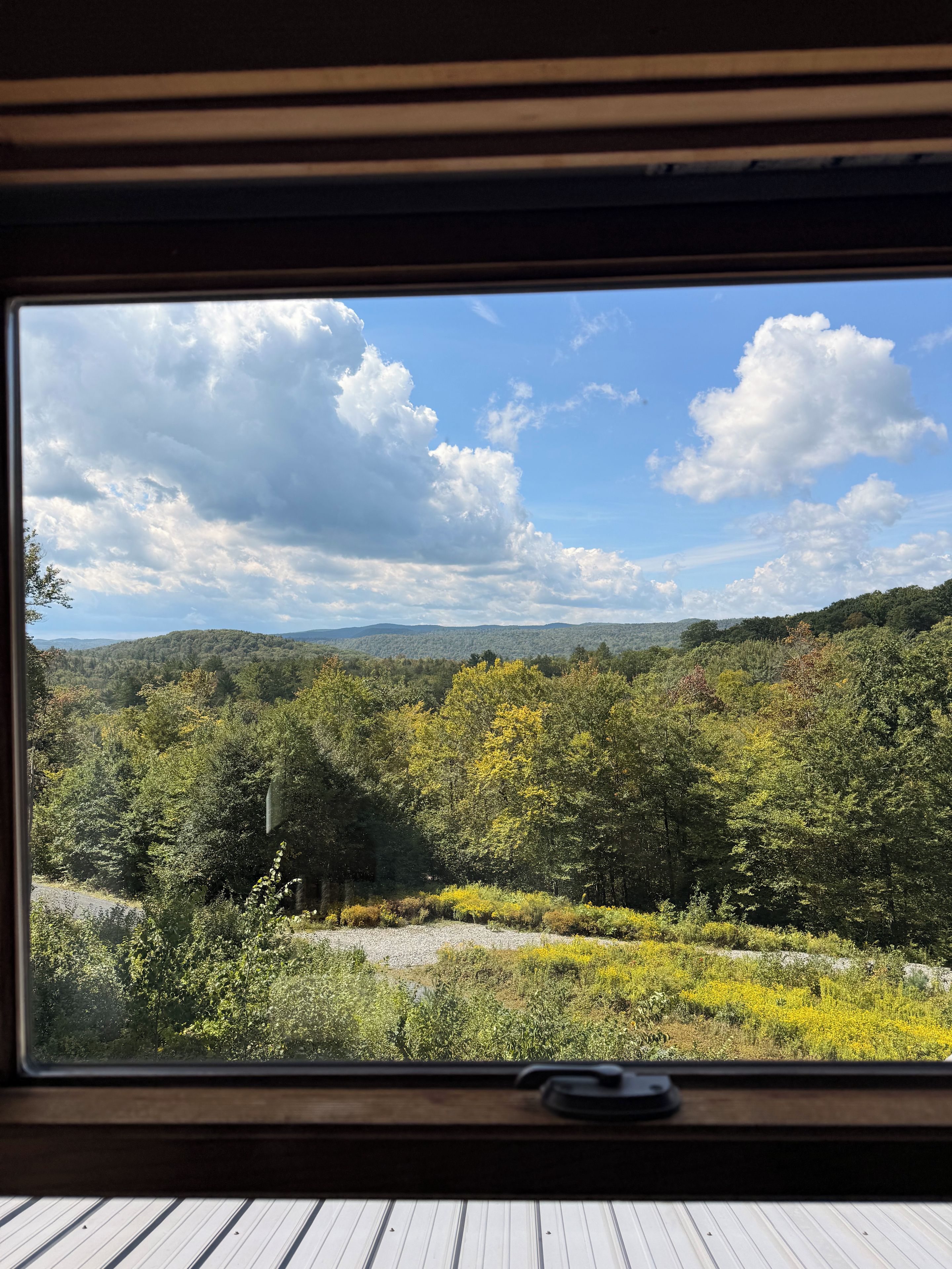 Vista dalla finestra su un paesaggio boschivo sotto un cielo sereno.