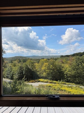 A window view of a forested landscape with a clear sky.