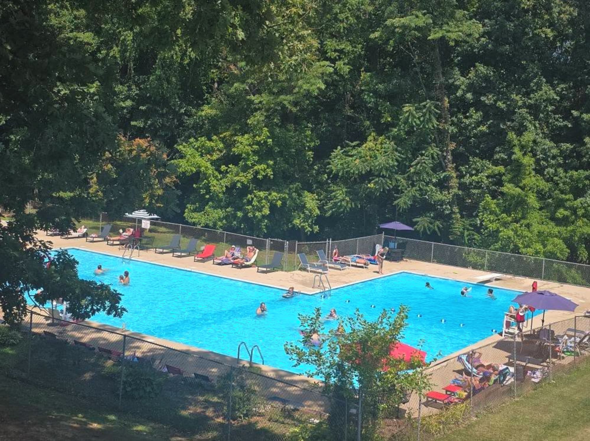 Une piscine entourée de chaises longues et de parasols, avec une zone boisée en arrière-plan.