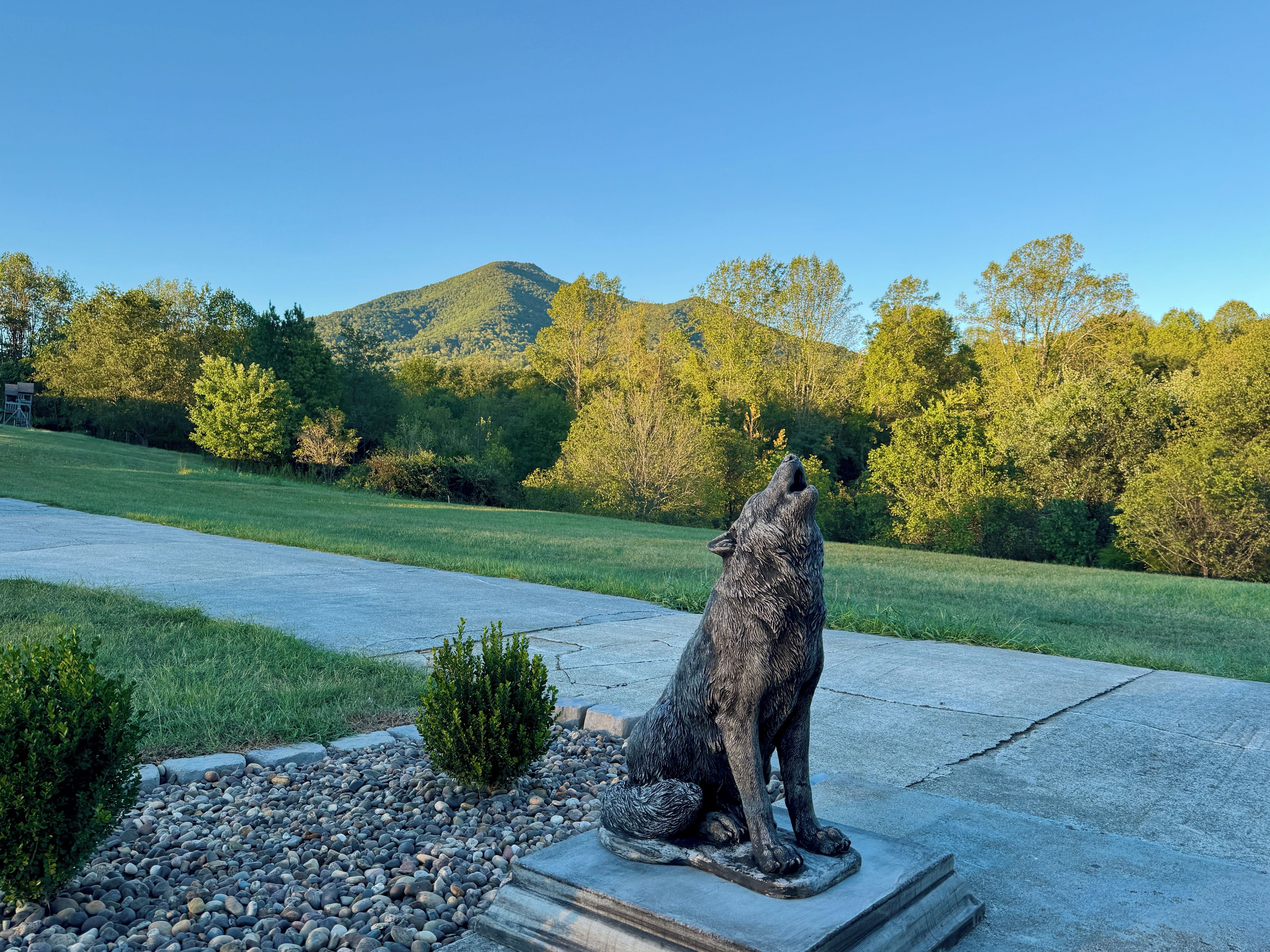 Une statue de loup, posée sur un socle en béton, avec un champ herbeux et des arbres en arrière-plan.