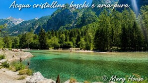 Immagine non classificata, 4 di 18, pulsante