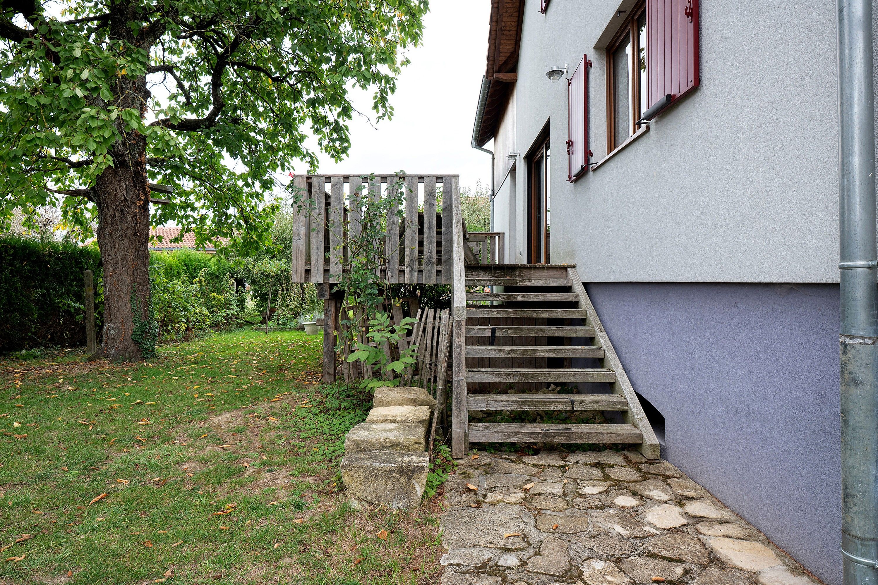A stone staircase leading to a wooden door, surrounded by a grassy lawn and a tree.