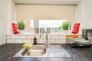 A kitchen with a stainless steel sink, a dish rack, and a window with plants.