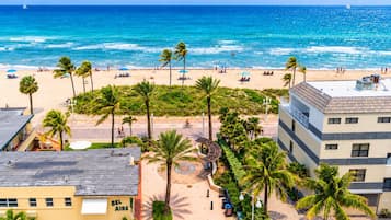 A beachside hotel with a view of the ocean, palm trees, and a paved walkway.