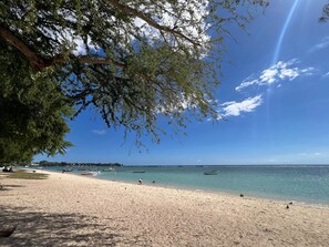 Ein Strand mit Booten, klarem Wasser und einem Baum, der Schatten spendet.
