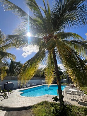 Ein Swimmingpool, umgeben von Palmen und Gartenmöbeln.