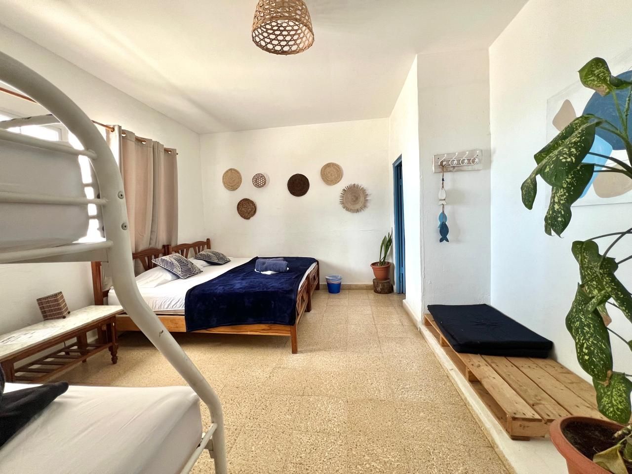 A bedroom with a bunk bed, a single bed, a bedside table, a potted plant, and a wall-mounted shelf.