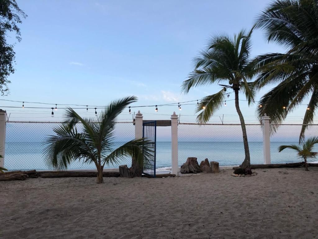 Una playa con una valla, palmeras y vistas al océano.