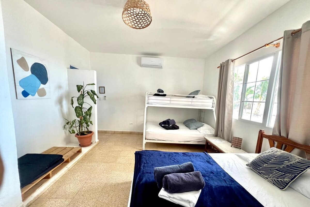 A room with bunk beds, a potted plant, and a window with curtains.