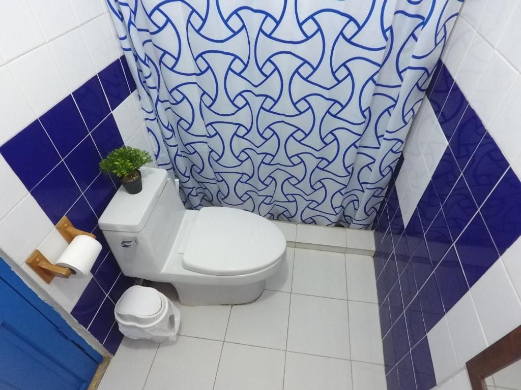 A bathroom with a white toilet, a blue and white patterned shower curtain, and a small potted plant on the toilet tank.