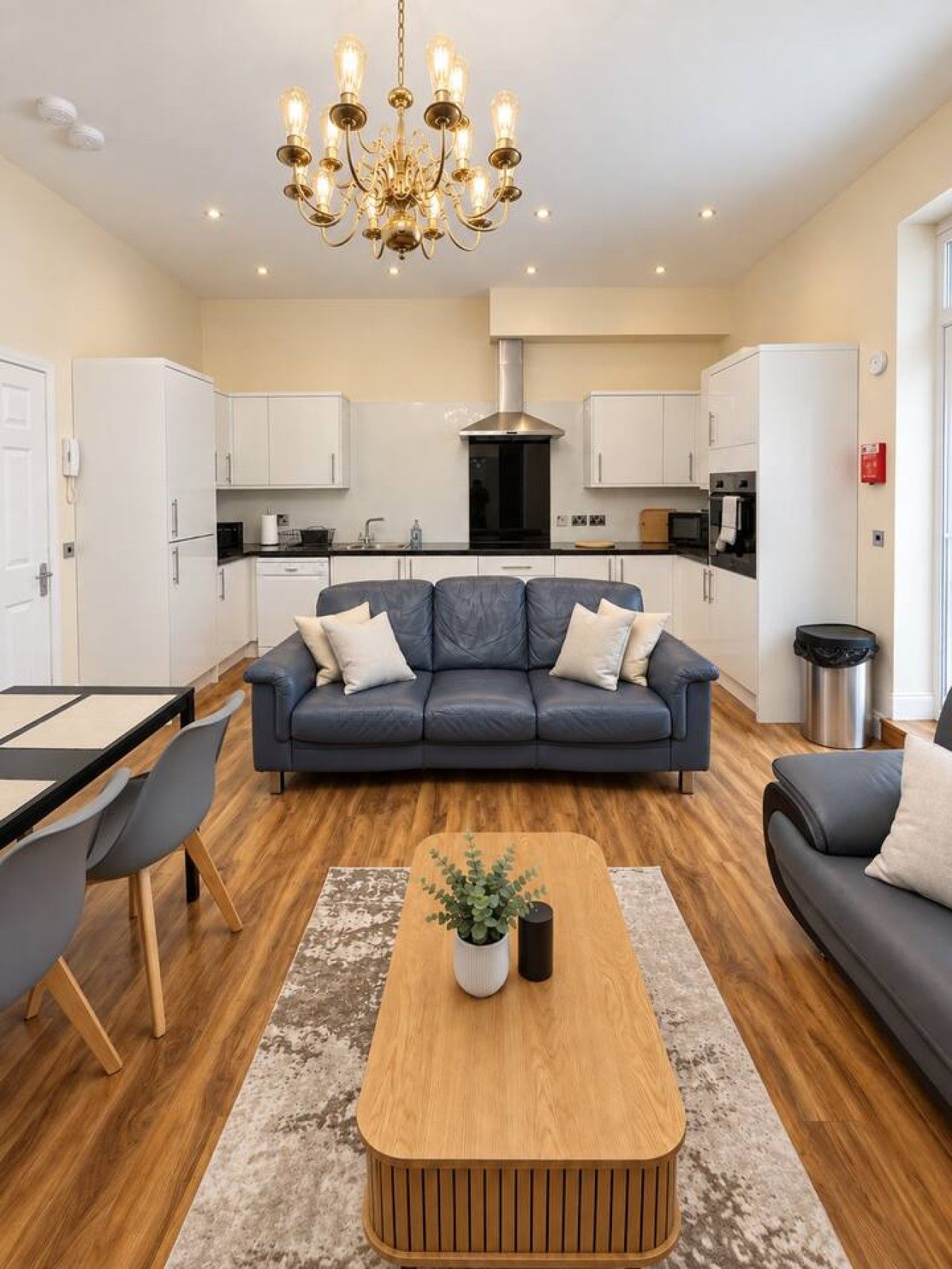 A modern living room with a sofa, a coffee table, and a chandelier.