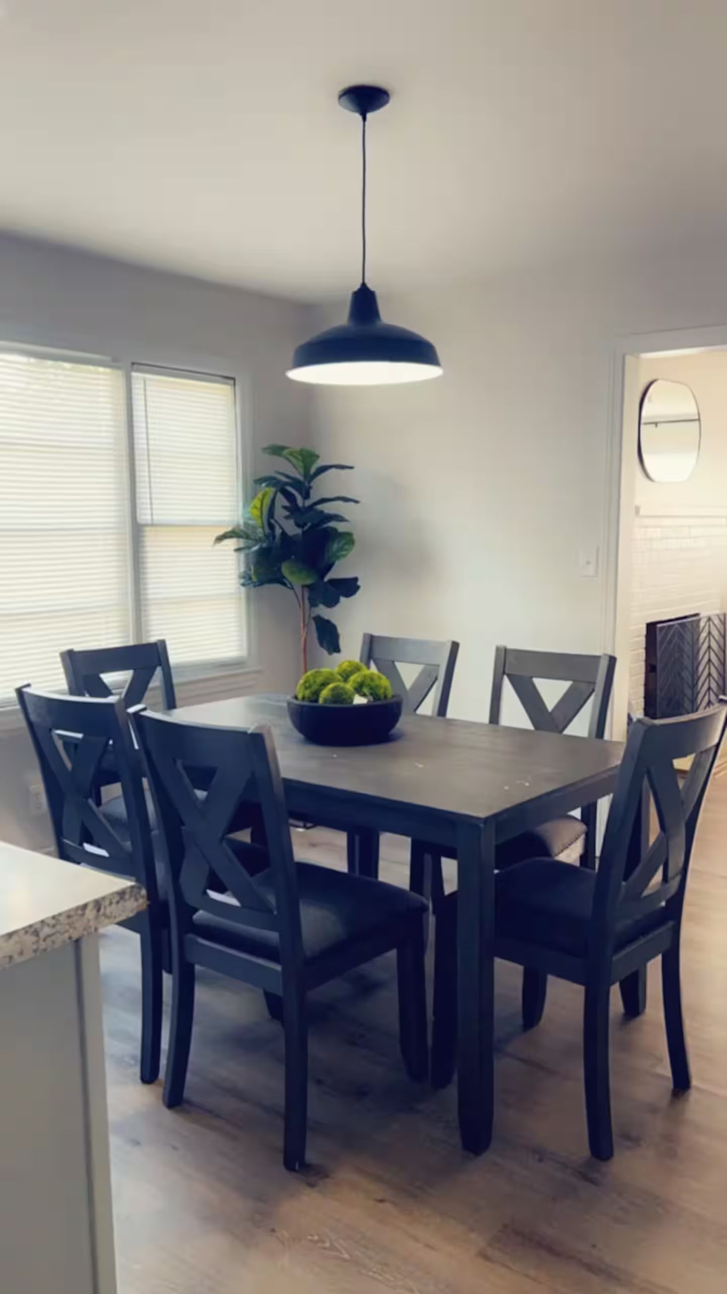 A dining area with a table and chairs, a hanging light fixture, and a potted plant.