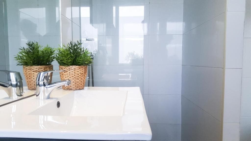 Un baño con un lavamanos blanco, grifo cromado y dos plantas en macetas.