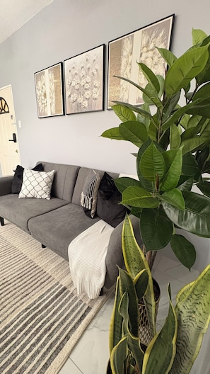 A living room with a grey sofa, a large green plant, and three framed artworks on the wall. - Modern 1 Bedroom Apartment Centrally Located in the heart of Kingston (Kingston)