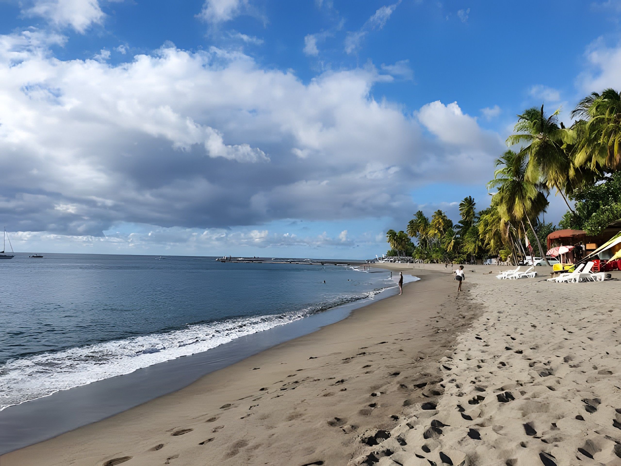 Une plage avec des empreintes de pas, des palmiers et un ciel dégagé.