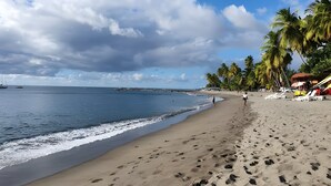 Ein Strand mit Fußabdrücken, Palmen und einem wolkenlosen Himmel.