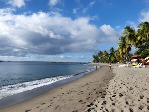 Une plage avec des empreintes de pas, des palmiers et un ciel dégagé.