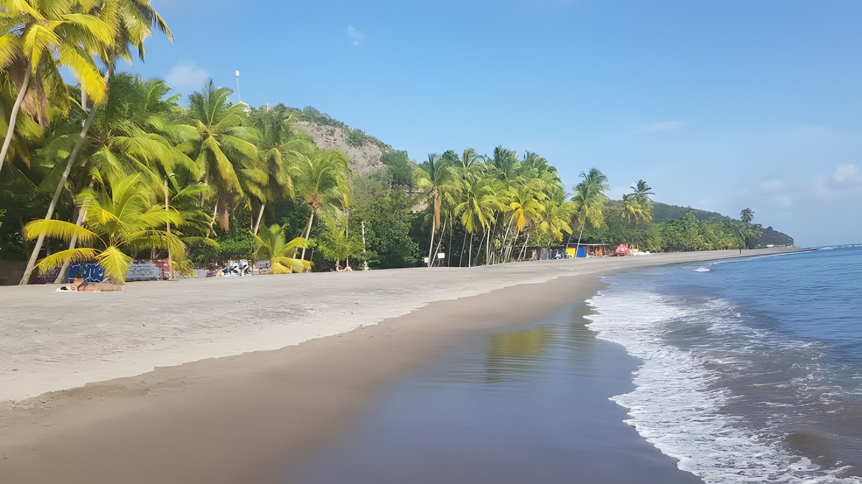 Une plage bordée de palmiers, sous un ciel dégagé.