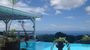 Ein Pool mit Blick auf den Ozean, umgeben von Kübelpflanzen und einem überdachten Bereich.