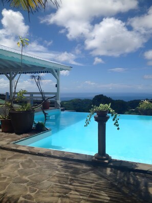 Piscina com vista para o oceano, cercada por vasos de plantas e área coberta.