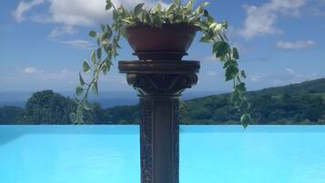 Une piscine d’un bleu éclatant, agrémentée d’une colonne décorative et d’une plante en pot au premier plan.