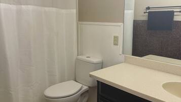 A bathroom with a toilet, a sink, a mirror, and a shower curtain.