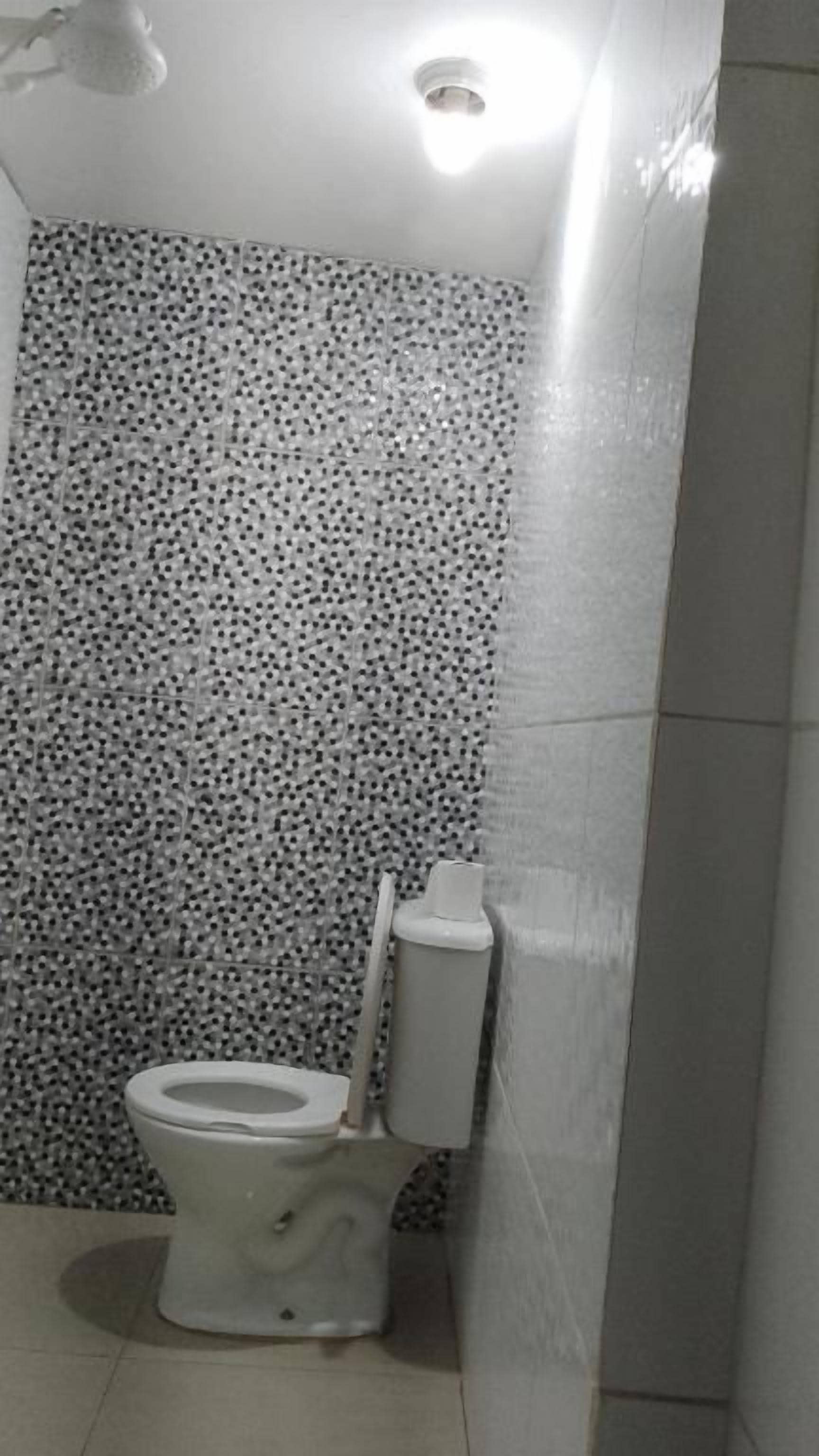Un bagno con un WC, una doccia e una parete rivestita di piastrelle.
