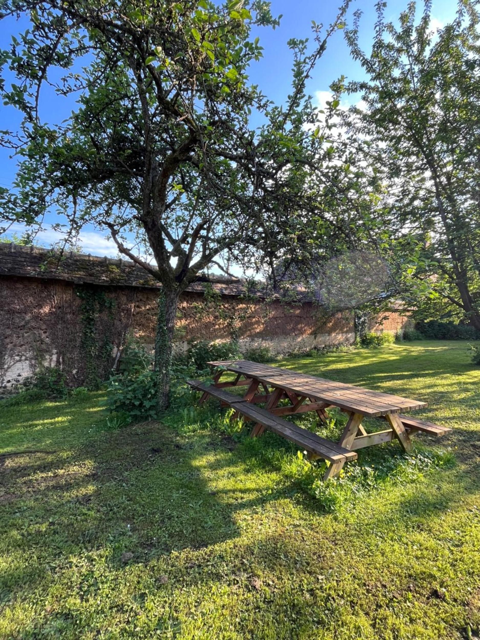 Un tavolo da picnic in un'area erbosa, con alberi e un muro di mattoni sullo sfondo.