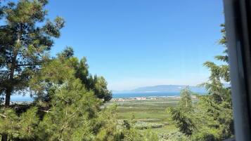 Un balcón con vistas a un paisaje costero, que incluye árboles y colinas distantes.