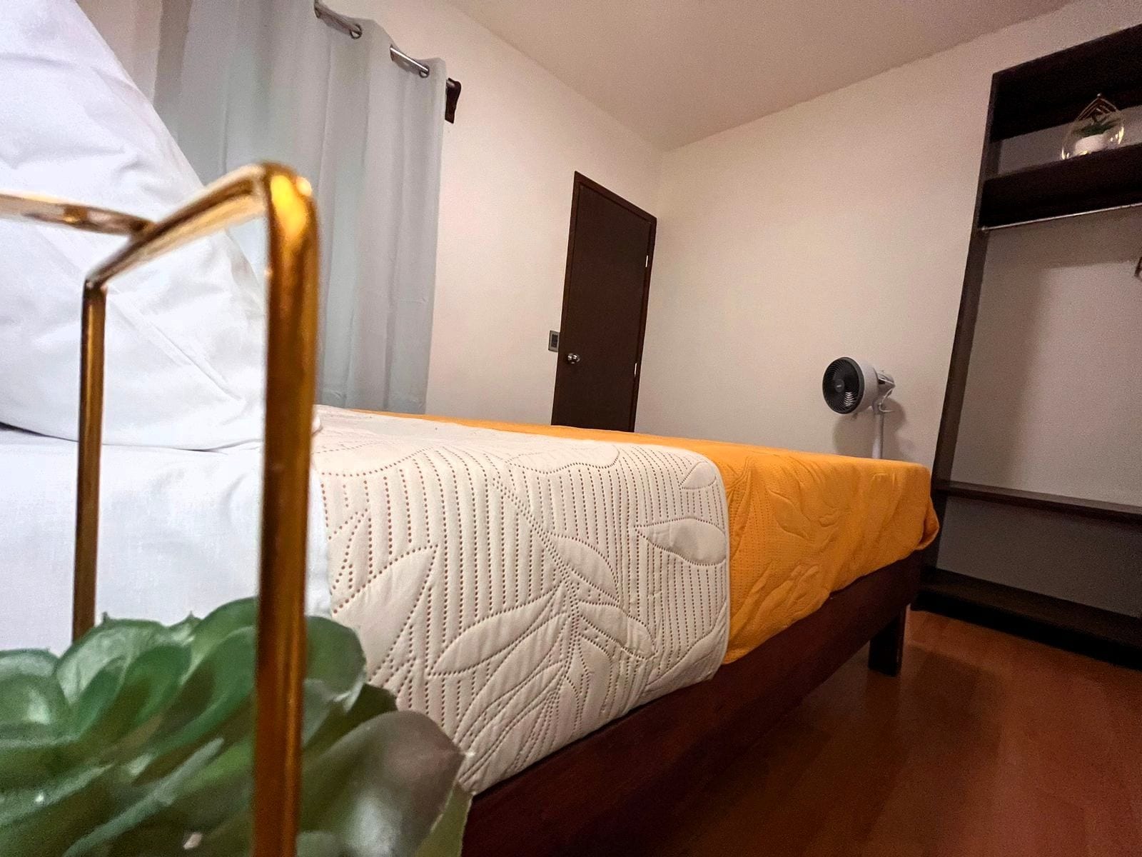 Une pièce avec un lit, une porte, une étagère et une plante.