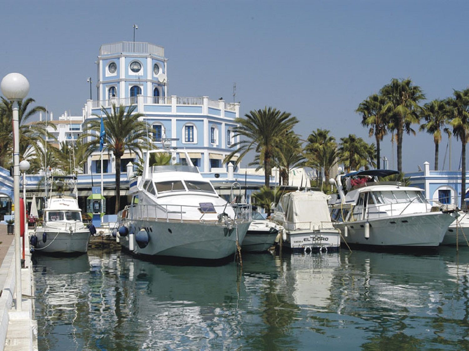 A marina with several yachts docked, a large building with a tower, and palm trees in the background.