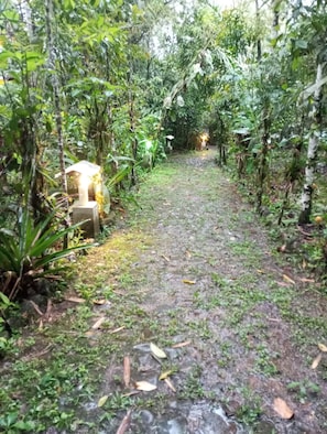A narrow pathway surrounded by dense vegetation. - 5 Minutes from Mindo town .Stay Surrounded by Nature, Discover Wildlife & Trails (Quito)