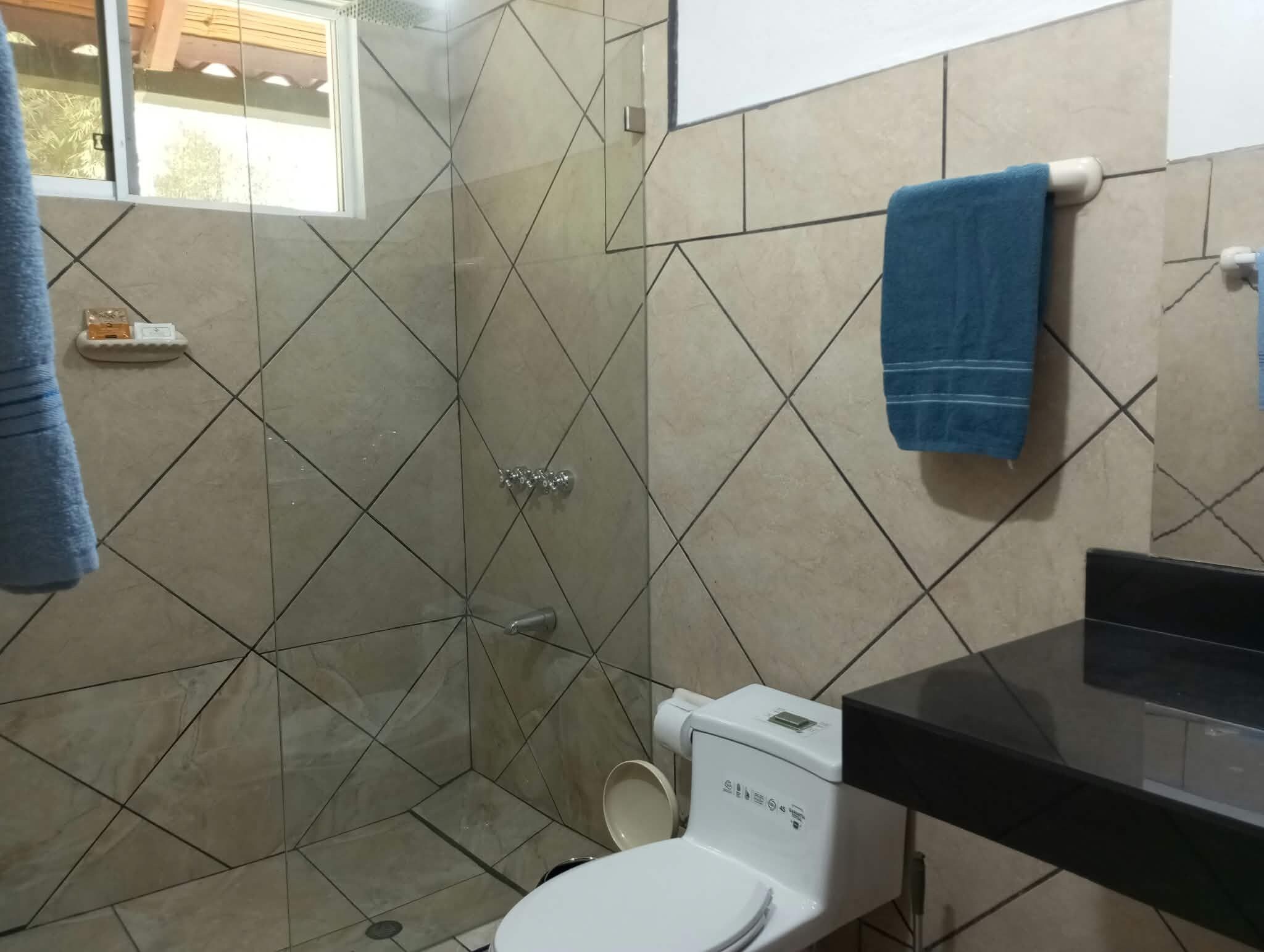 Un baño con cabina de ducha de vidrio, inodoro blanco y lavamanos negro.