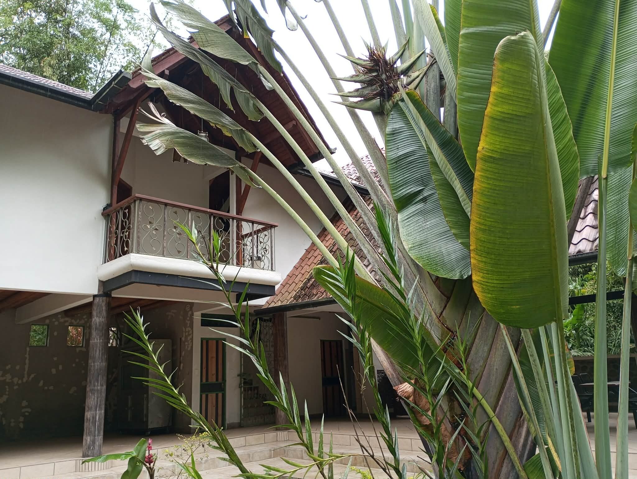 A two-story building with a balcony, surrounded by tropical plants.