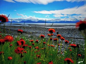 Une plage avec des fleurs rouges au premier plan et des montagnes en arrière-plan.