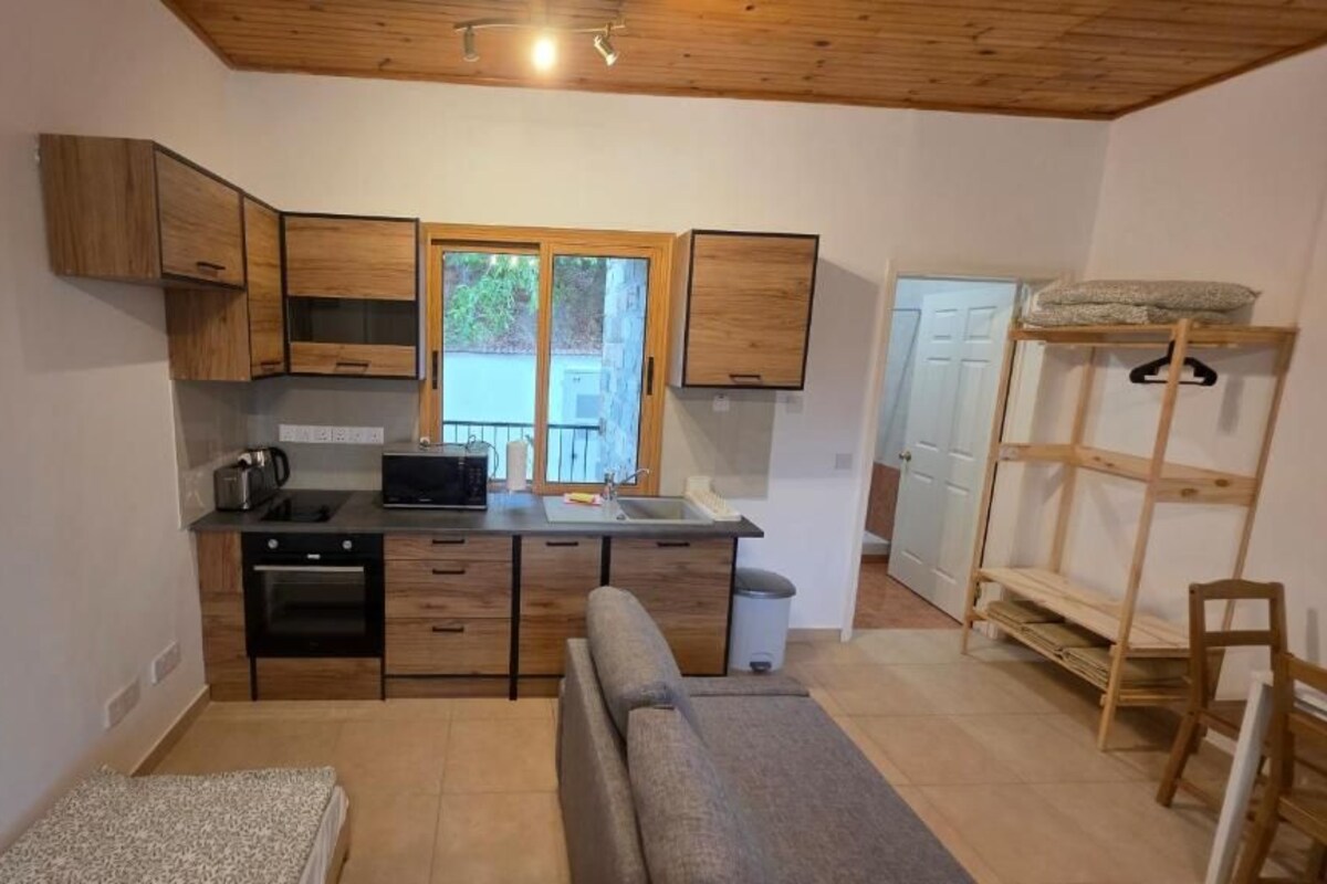 Studio, Balcony, Mountain View | Living area