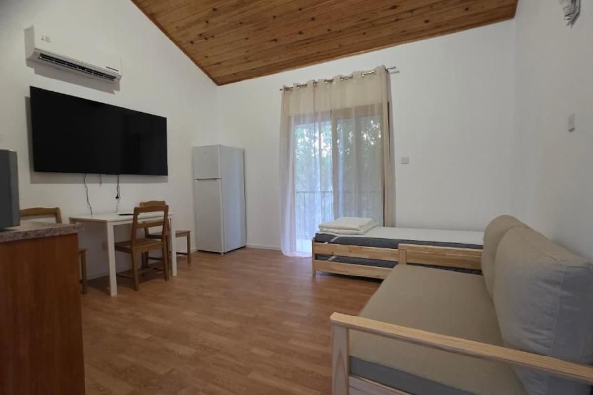 Studio, Balcony, Mountain View | WiFi (free)