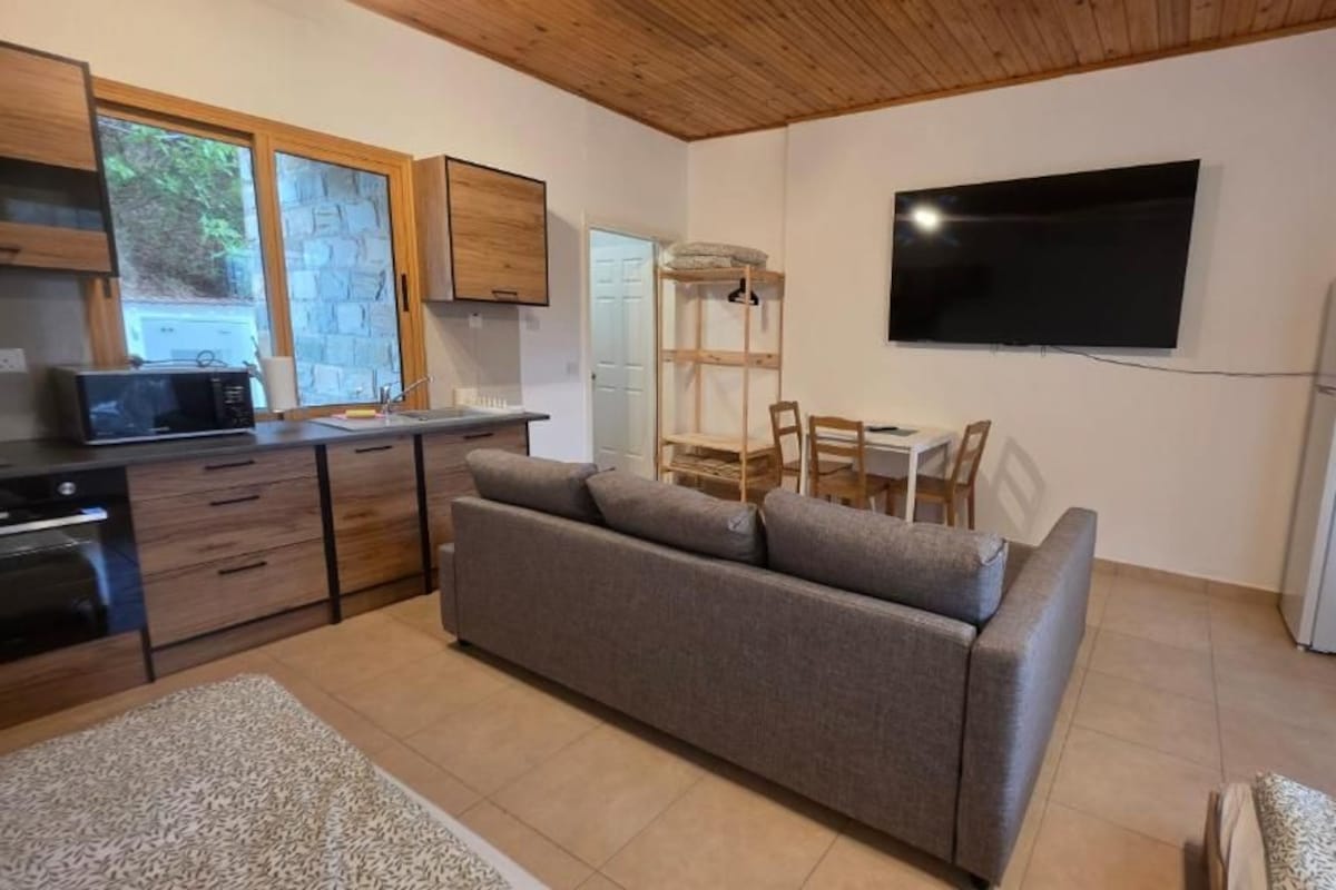 Studio, Balcony, Mountain View | Living area