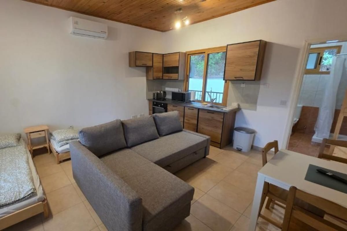 Studio, balkon, pemandangan gunung | Area keluarga