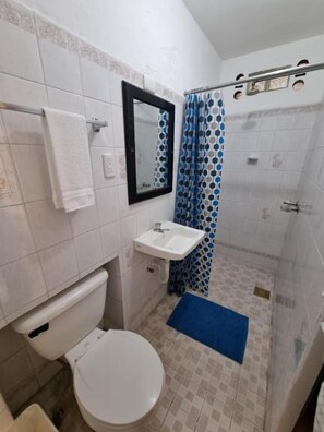 Un bany amb vàter, rentapel, dutxa i un tapet blau.