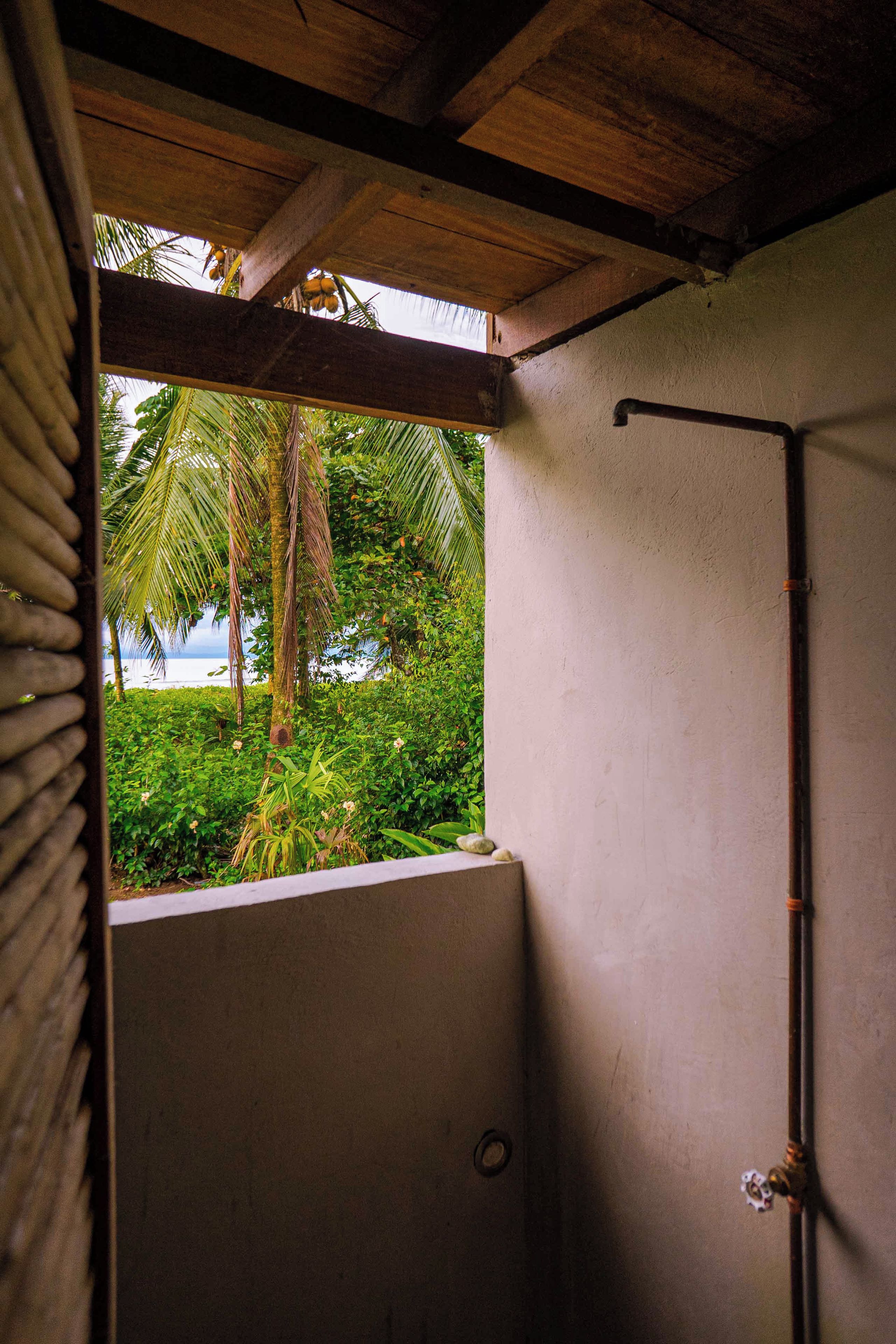 A shower area with a view of a tropical landscape, including palm trees and a body of water.