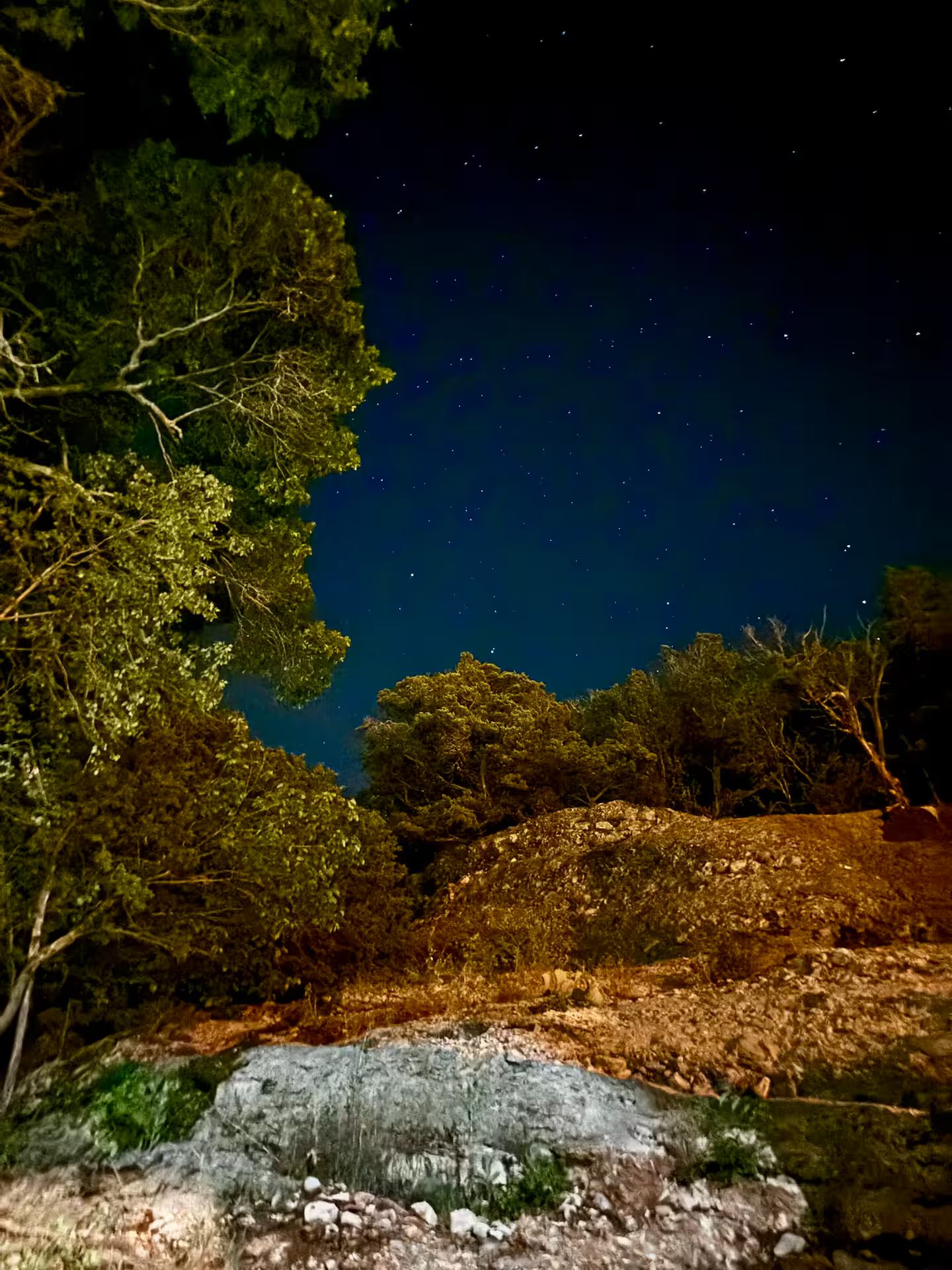 A night sky with stars, trees, and a rocky terrain.